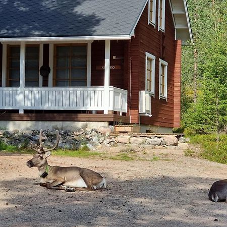 Riekko Chalet 로바니에미 외부 사진