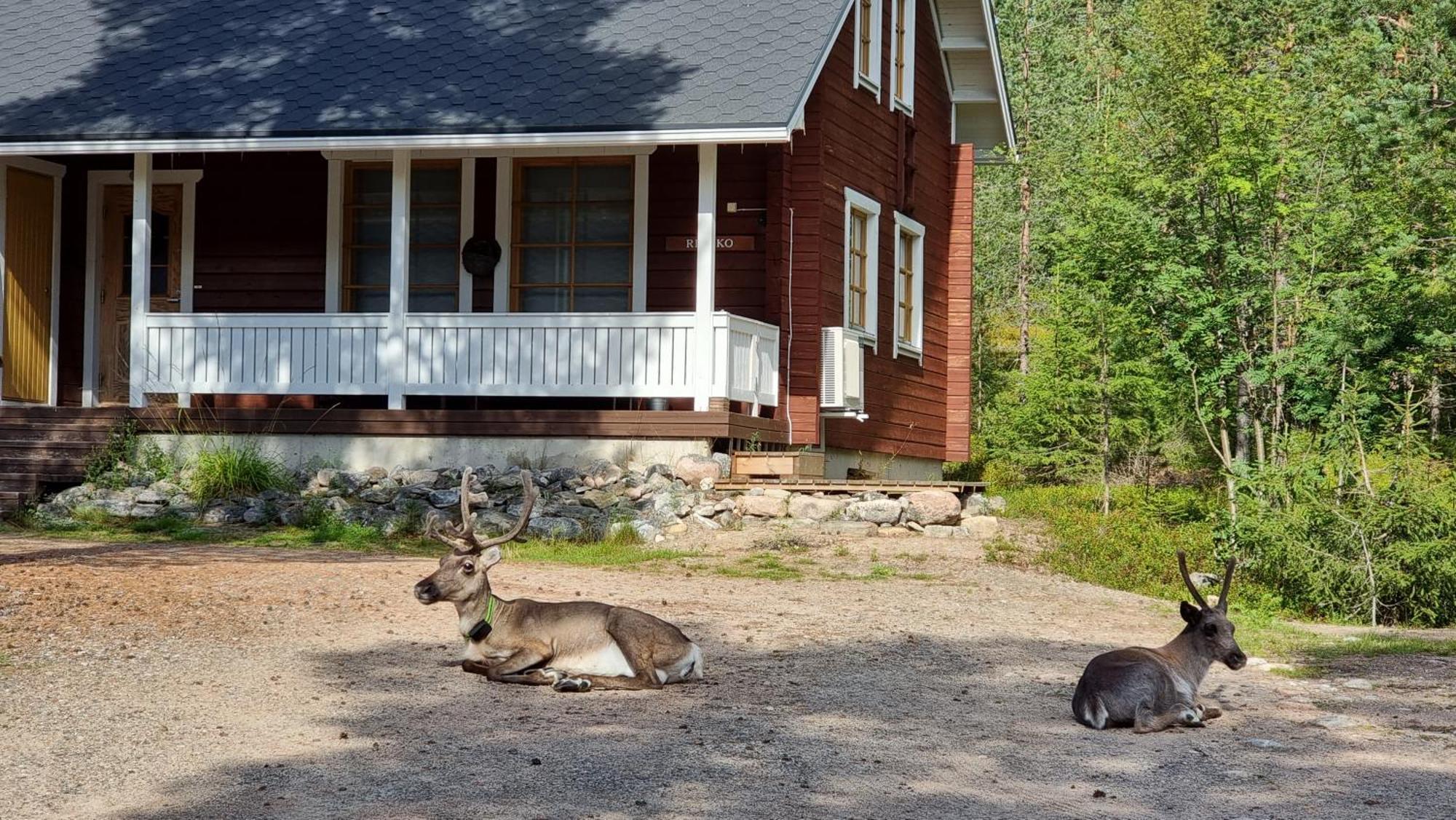 Riekko Chalet 로바니에미 외부 사진